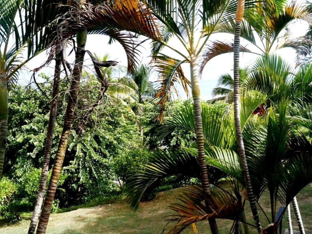 Anchorage Beach Resort Viseisei Eksteriør bilde